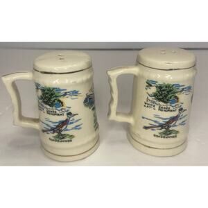 Vintage New Mexico Land of Enchantment Salt & Pepper Shakers Roadrunners